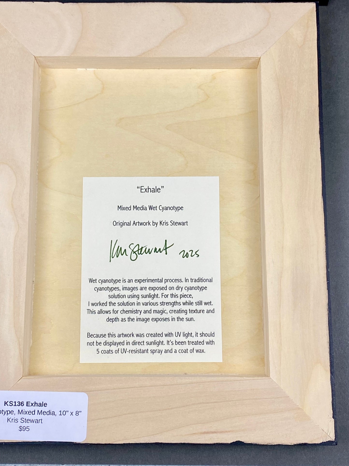 Original Cyanotype 8x10, Wall Art, Shelf Art