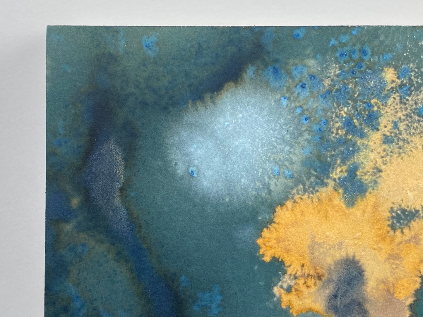 Original Cyanotype 6x12, Wall Art, Shelf Art
