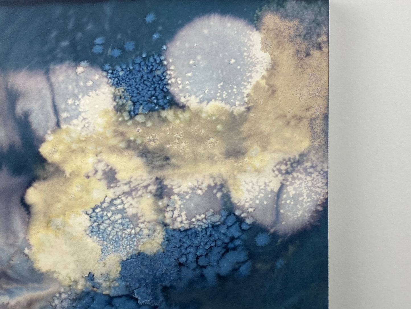 Original Cyanotype 8x8, Wall Art, Shelf Art