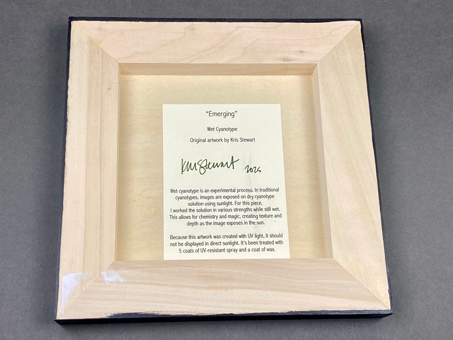 Original Cyanotype 8x8, Wall Art, Shelf Art