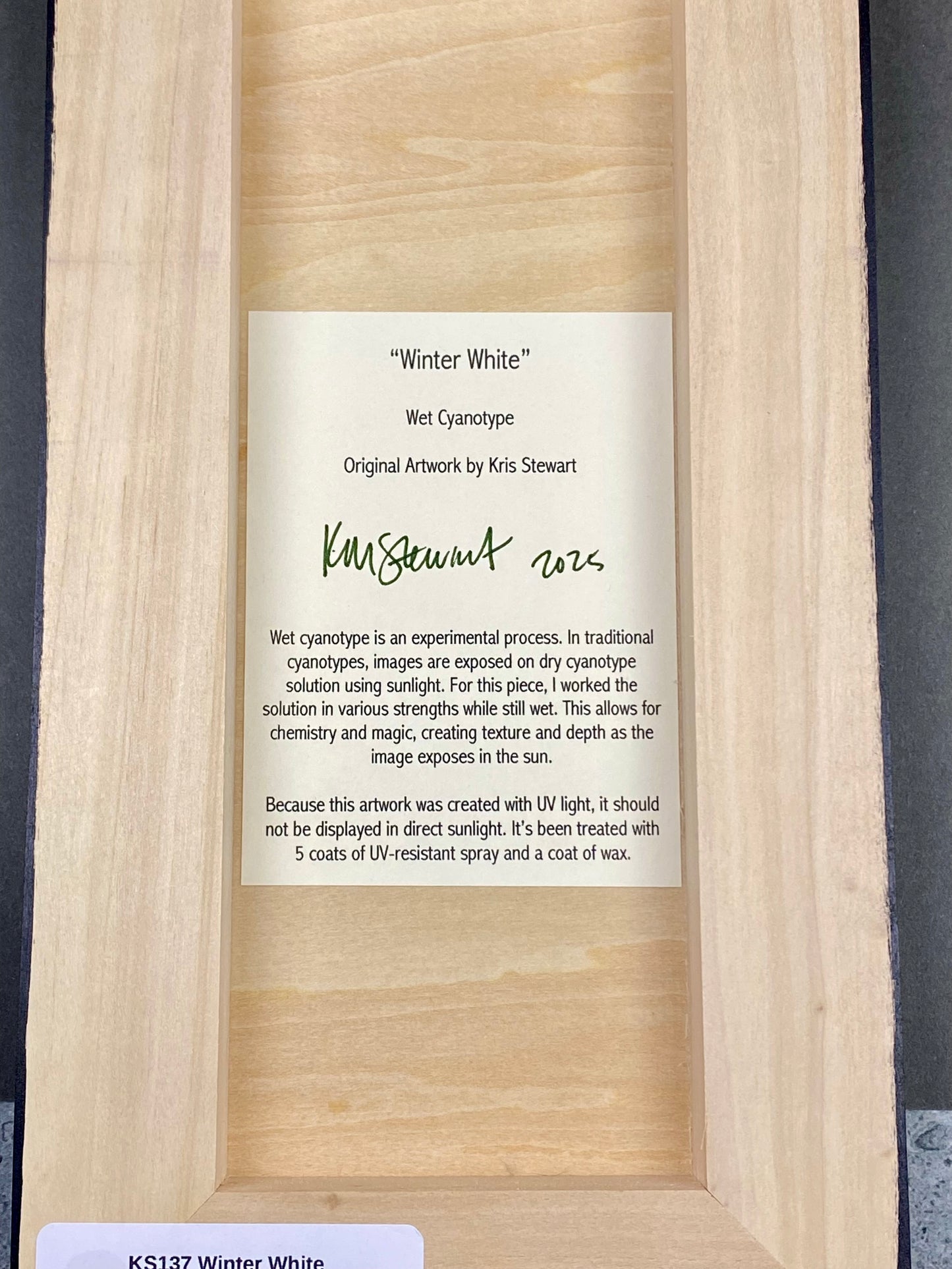 Original Cyanotype 6x12, Wall Art, Shelf Art